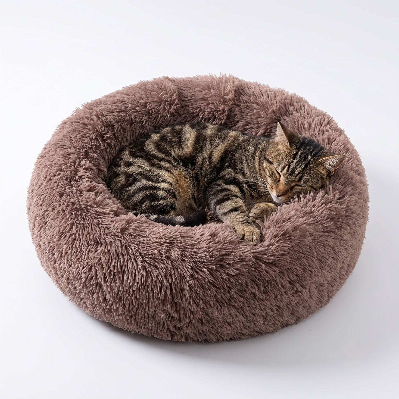 Calming Cat Bed