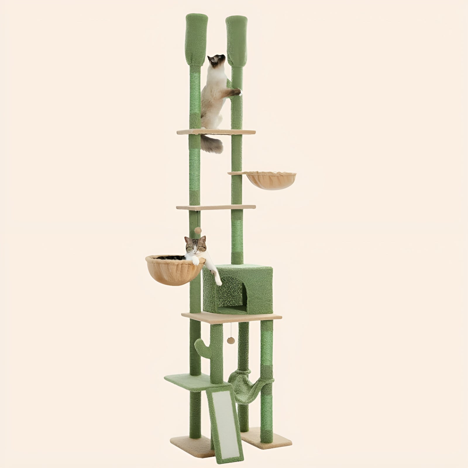 Double Cat Cactus Tower