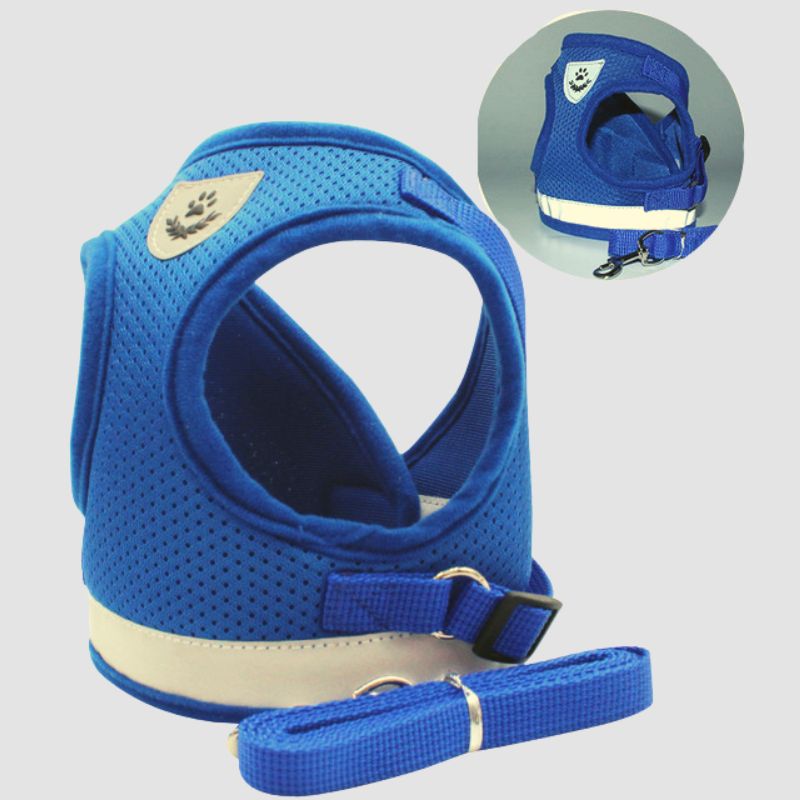 Breathable Cat Harness And Leash - Super Kitty Cats - 12000025429284124-Blue-L-China