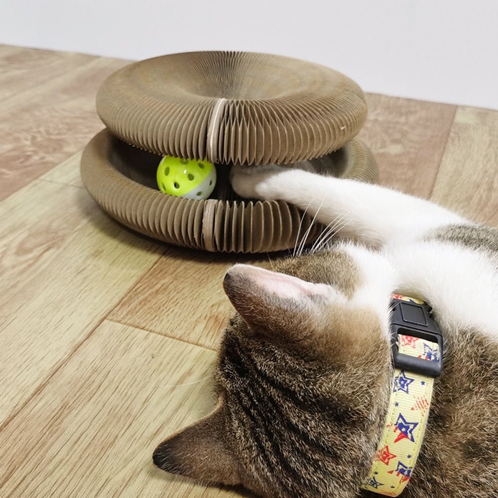 Donut Foldable Cat Toy Scratcher - Super Kitty Cats - 1005004150879466-with ball