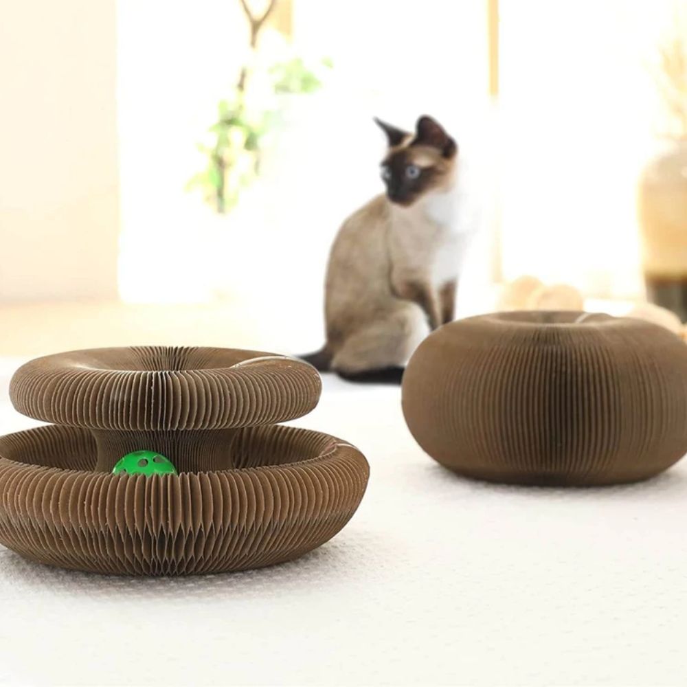 Donut Foldable Cat Toy Scratcher - Super Kitty Cats - 1005004150879466-with ball