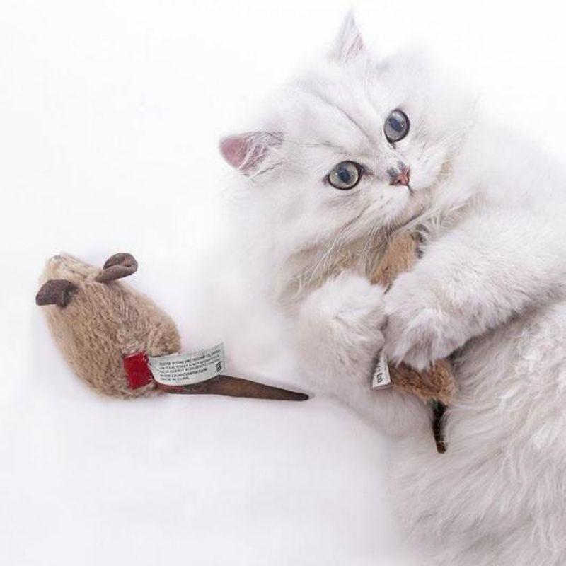 Motion-Activated Mouse Cat Toy - Super Kitty Cats - 14910070-brown