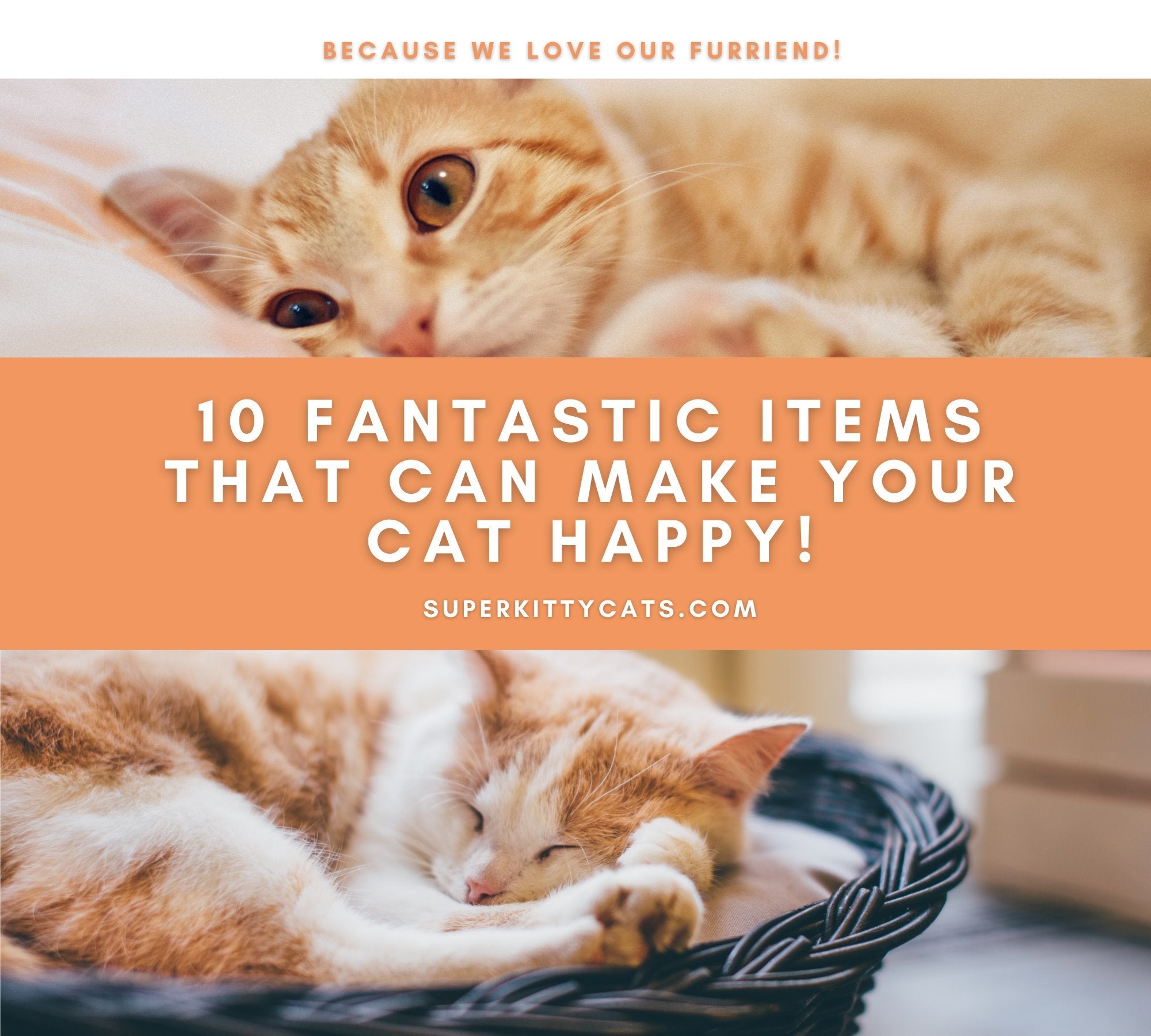 10 Fantastic Items From Super Kitty Cats That Can Make Your Cat Happy! ( Part 1 of 2) - Super Kitty Cats