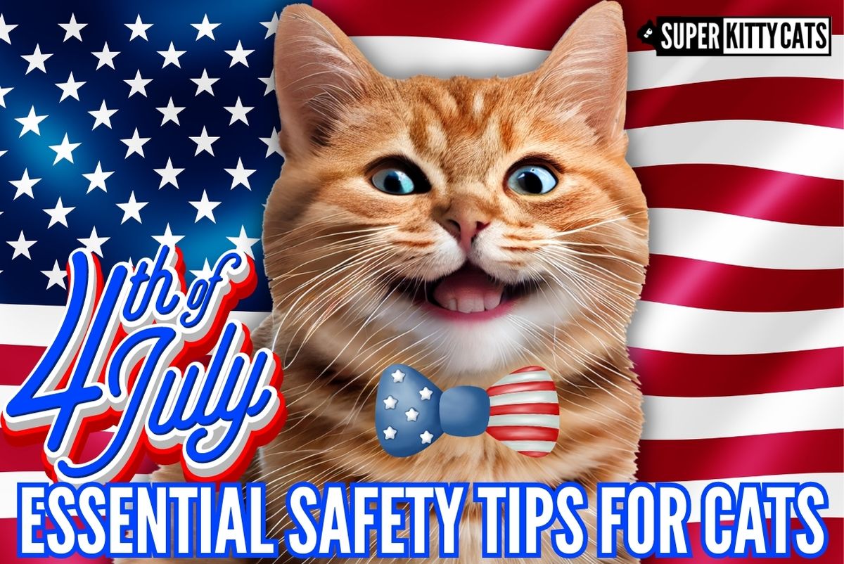 4th of July Essential Safety Tips for Cats