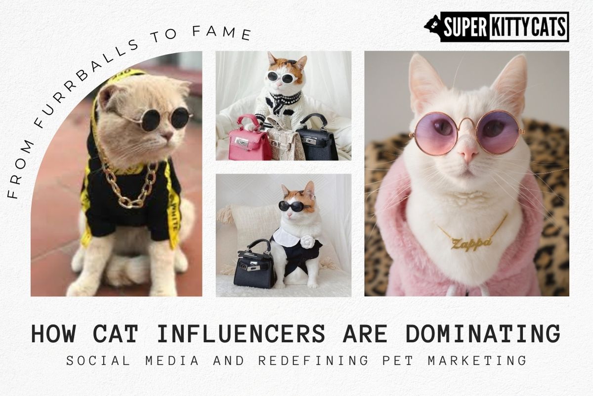 From Furballs to Fame: How Cat Influencers Are Dominating Social Media and Redefining Pet Marketing