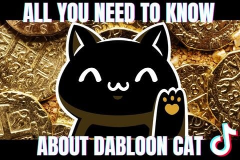 ALL YOU NEED TO KNOW ABOUT DABLOON CAT! - Super Kitty Cats