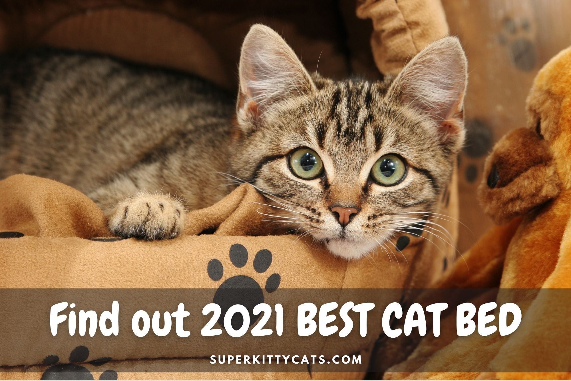Best Cat Beds Of 2021 - Super Kitty Cats