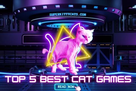 TOP 5 BEST CAT GAMES - Super Kitty Cats