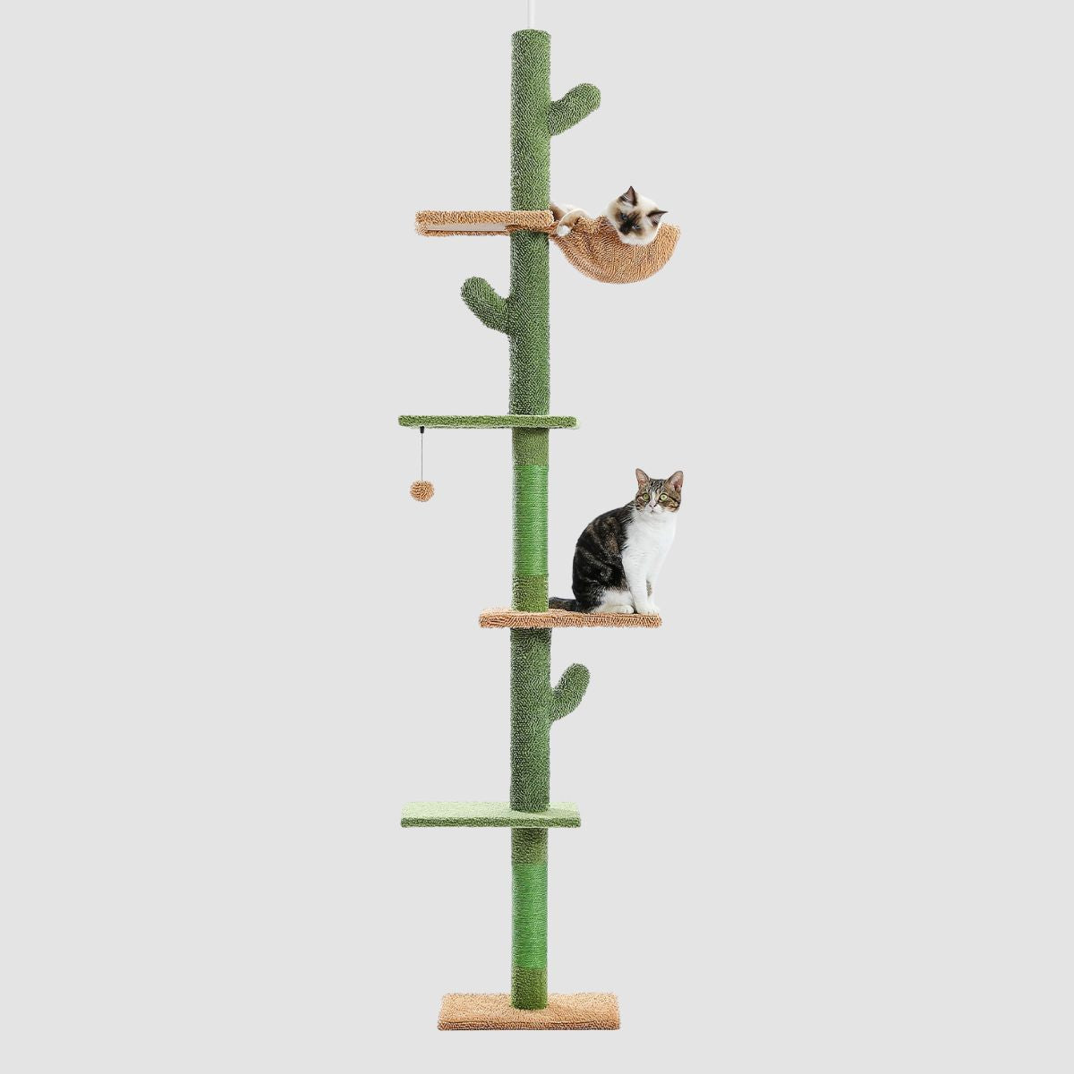 Cat Cactus Tower