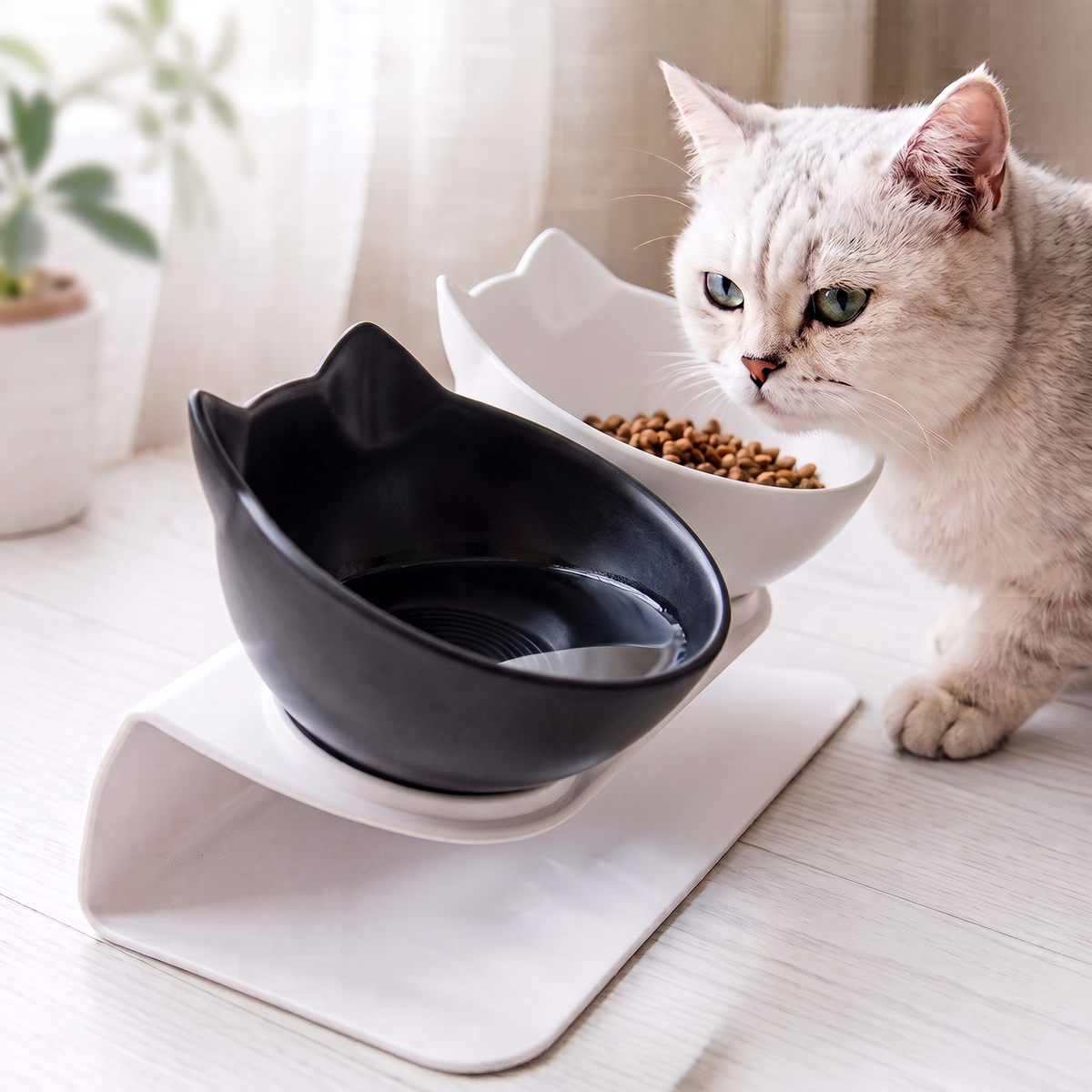 Raised Double Cat Bowl