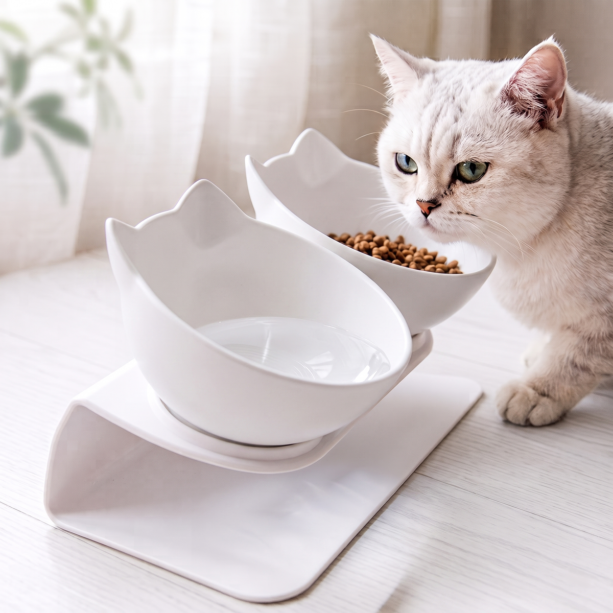 Raised Double Cat Bowl