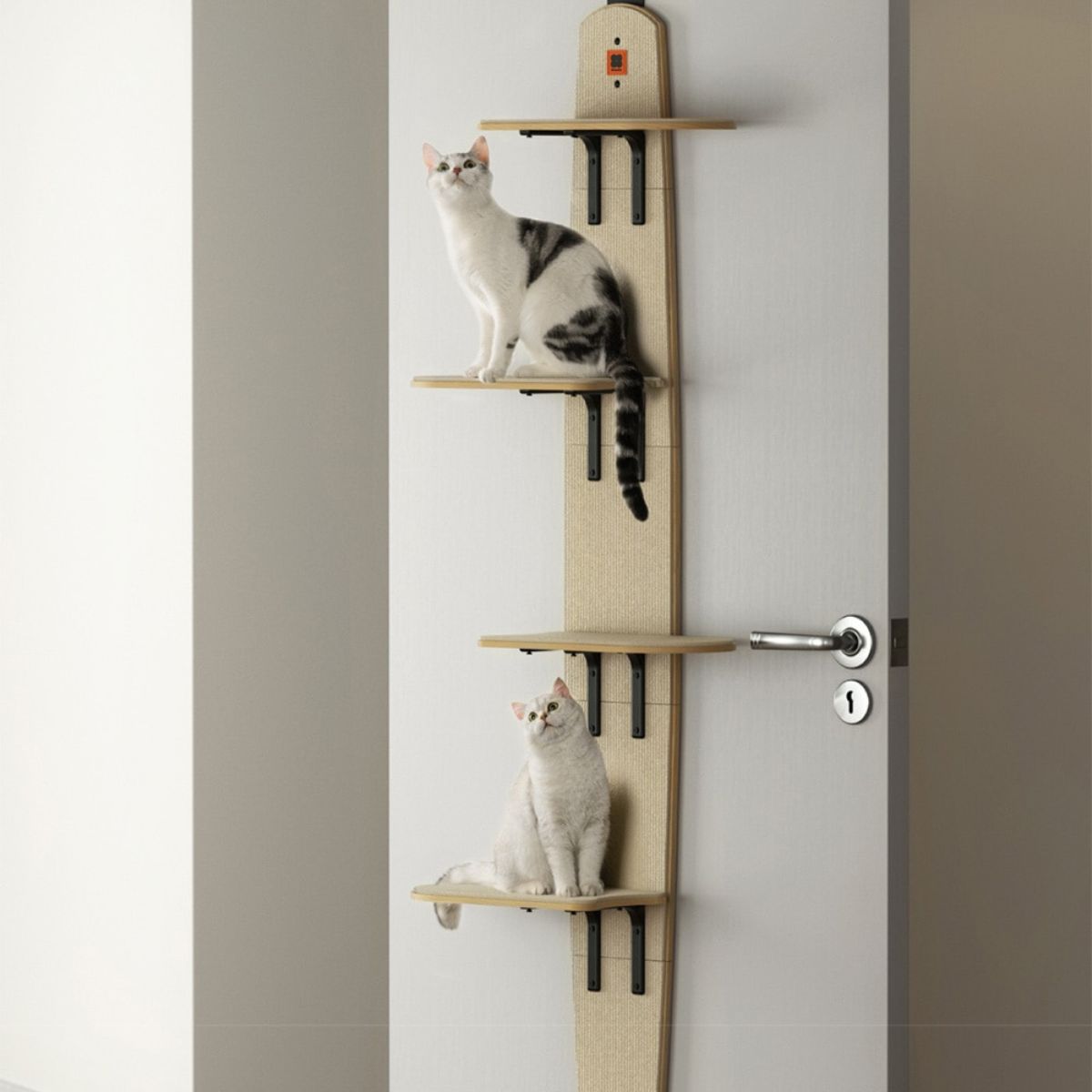 Door-hanging Cat Climbing Frame