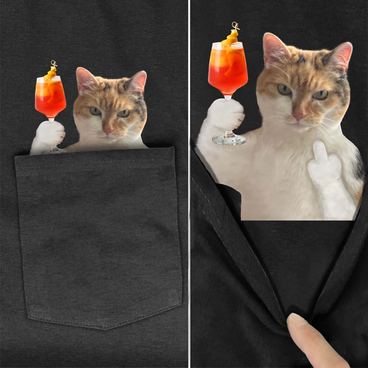 Calico Cat Aperol Pocket T-shirt