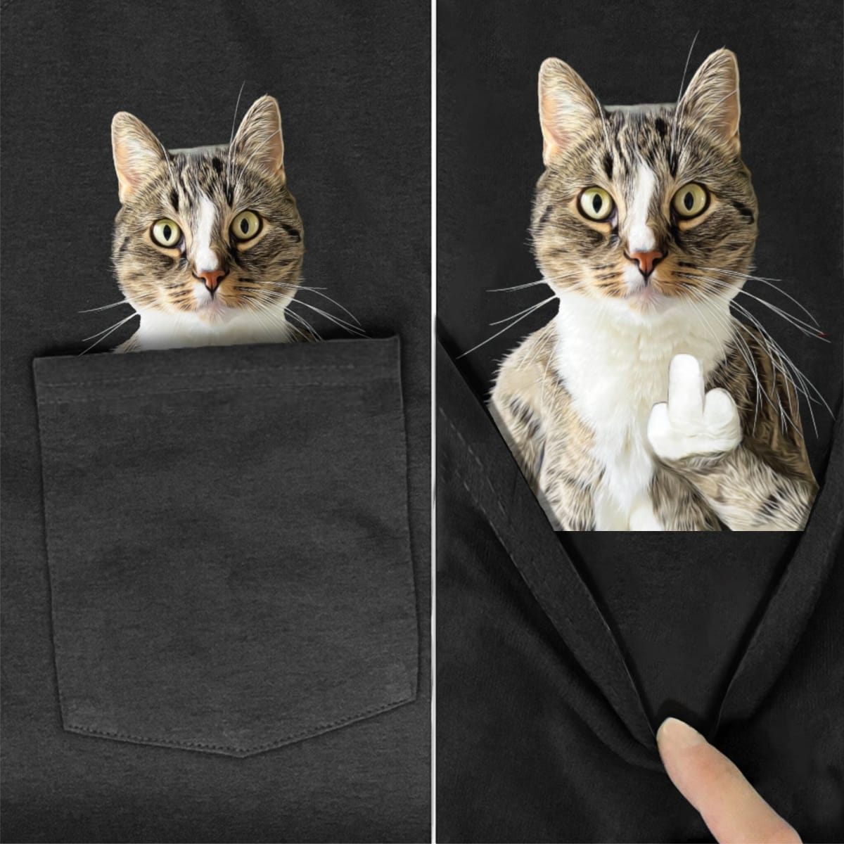 European Shorthair Tabby Pocket T-Shirt