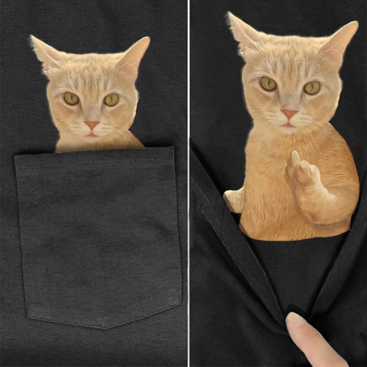 Ginger Cat Cutie Pocket T-Shirt