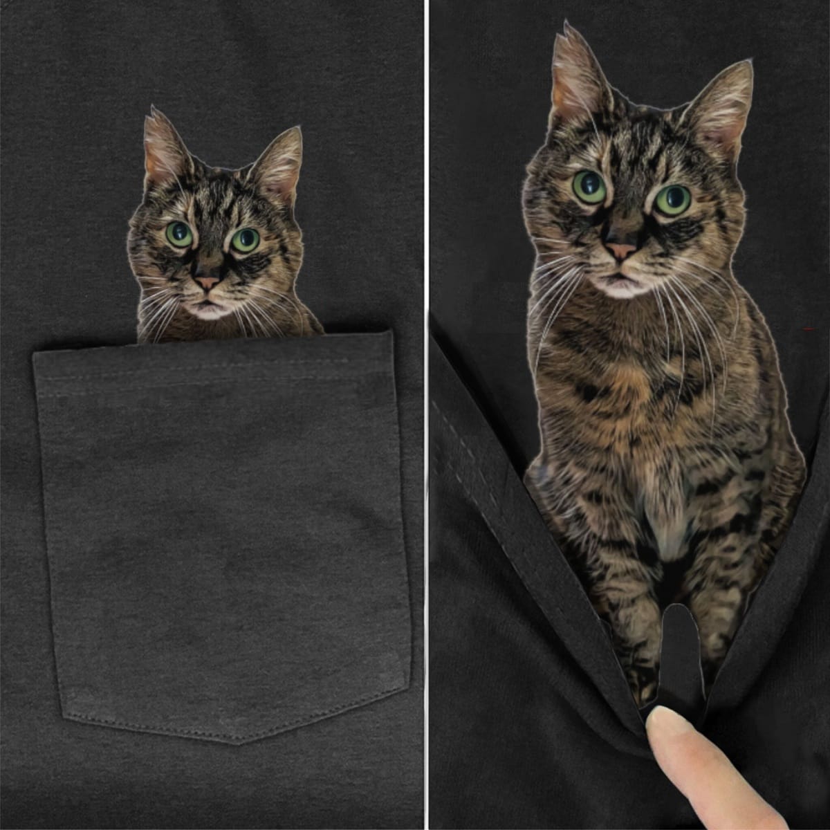 Whisker Watcher Cat Pocket T-Shirt