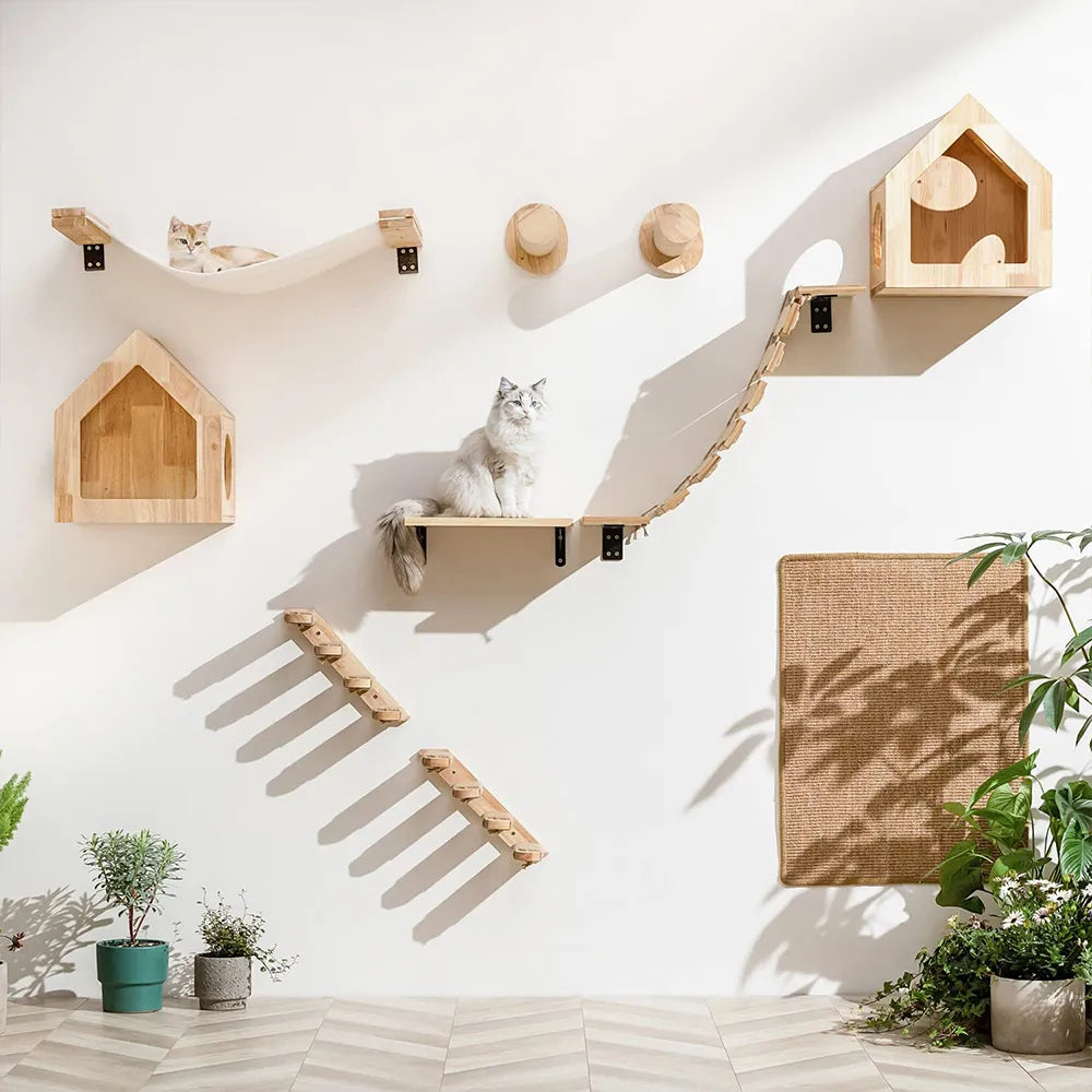 DIY Cat Wall House
