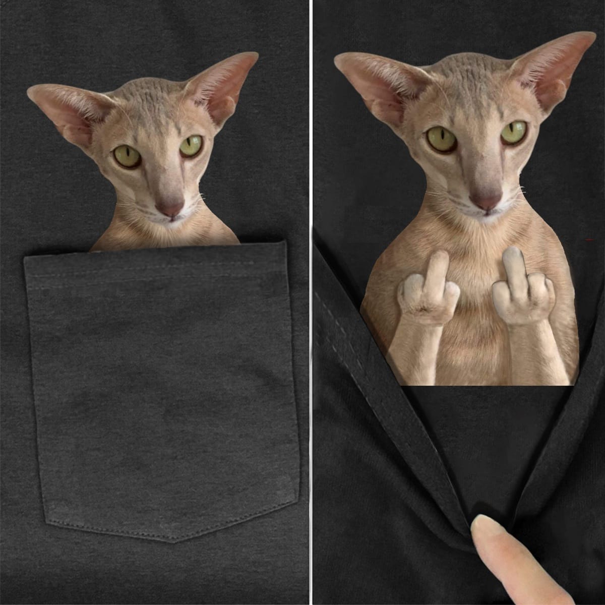 Oriental Cat Double F Pocket T-Shirt