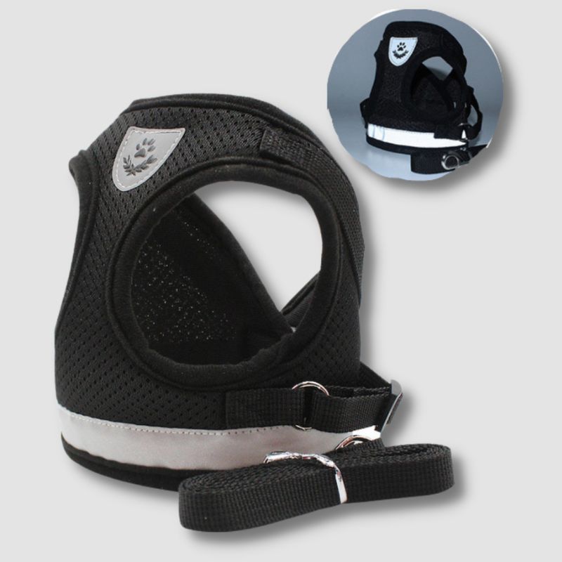 Breathable Cat Harness And Leash - Super Kitty Cats - 12000025429284096-Black-XL-China