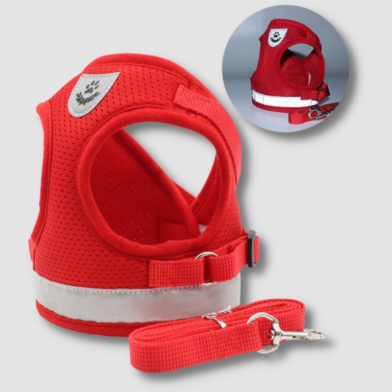 Breathable Cat Harness And Leash - Super Kitty Cats - 12000025429284104-Red-L-China