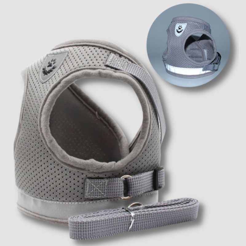 Breathable Cat Harness And Leash - Super Kitty Cats - 12000025429284116-Gray-XL-China