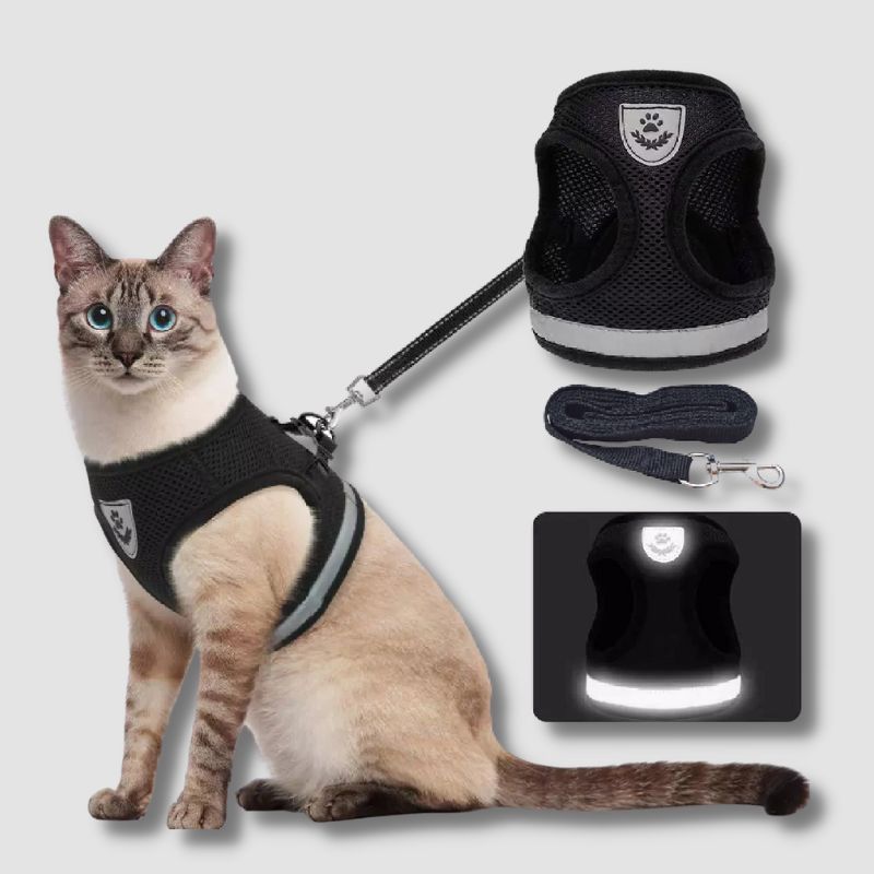 Breathable Cat Harness And Leash - Super Kitty Cats - 12000025429284120-Blue-XS-China