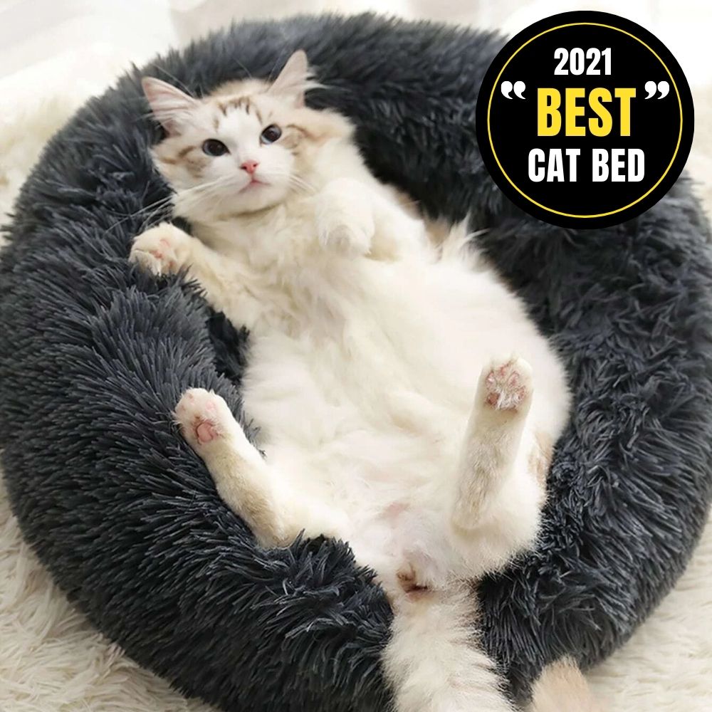 Calming Cat Bed - Super Kitty Cats - 14:506942013#Rose red;5:100014066#XS 40cm