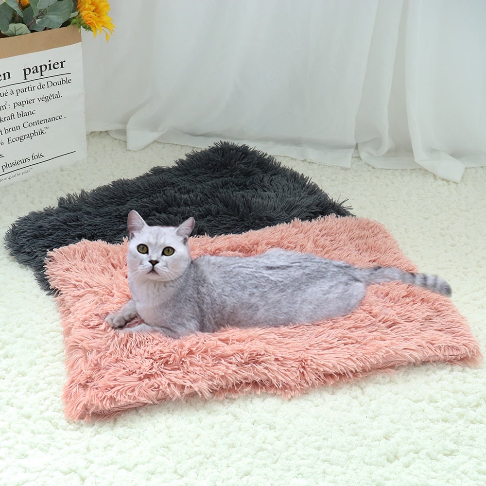 Calming Cat Blanket - Super Kitty Cats - 39587312-light-gray-56x36