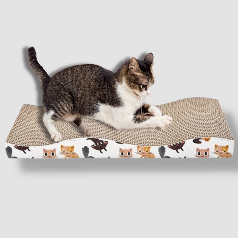 Cat Scratch Board Pad - Super Kitty Cats - 1005001470116329-3
