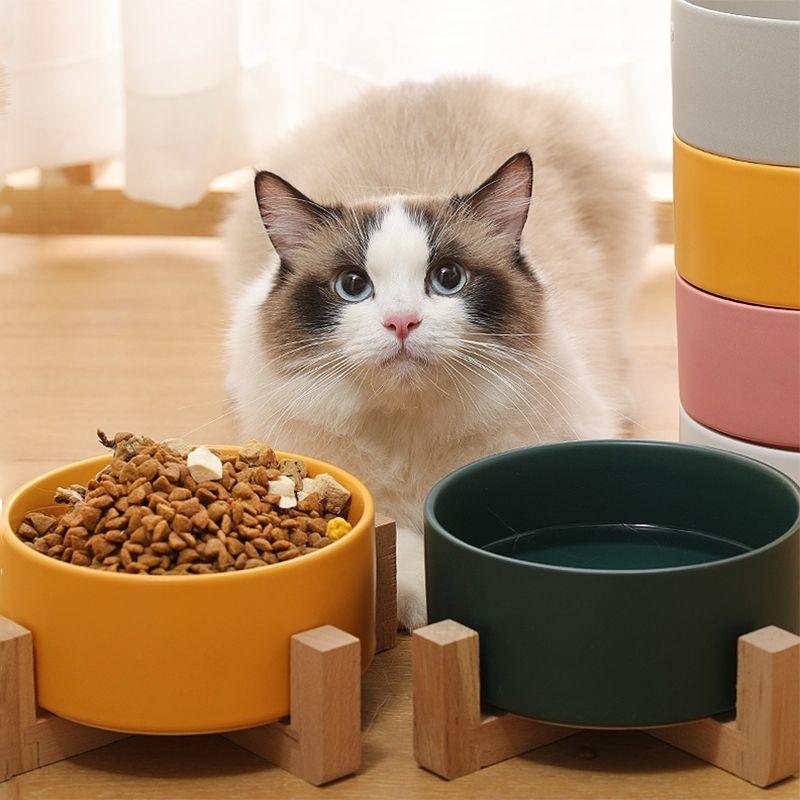 Rain Cloud Interactive Cat Feeder - Super Kitty Cats