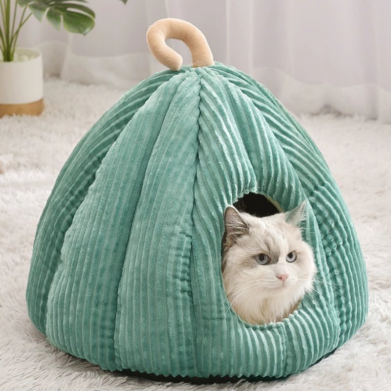 Cozy Pumpkin Cat Bed - Super Kitty Cats - 12000025644309784-2021-Green-L40xW40xH38CM
