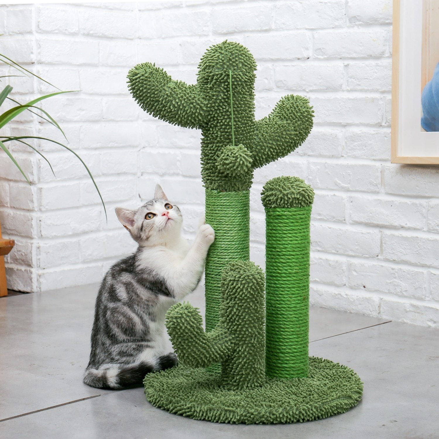 Elegant Cactus Scratcher - Super Kitty Cats - 39439411-amt0066gn-cactus-cat-tree-united-states