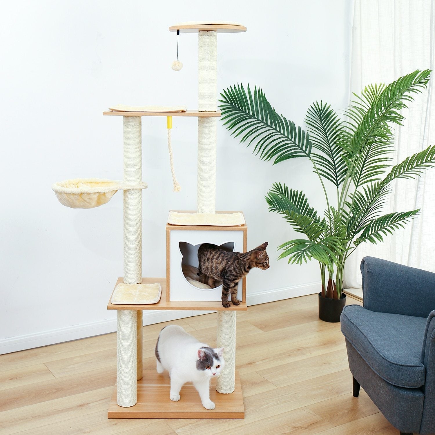 Modern Wooden Cat Tree - Super Kitty Cats - 38033716-amt0057bg-xl-united-states