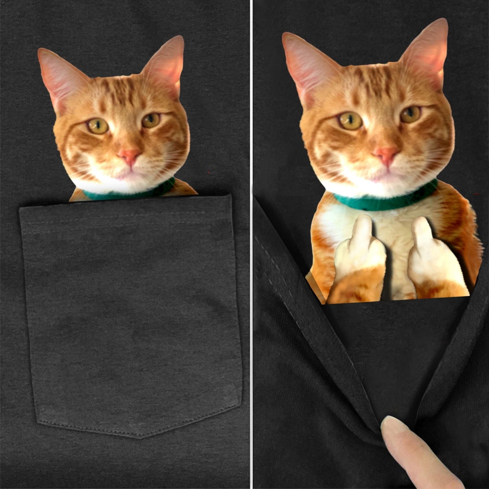 Orange Tabby Cat Pocket T-Shirt - Super Kitty Cats - OrgTabbypockettshirt-S