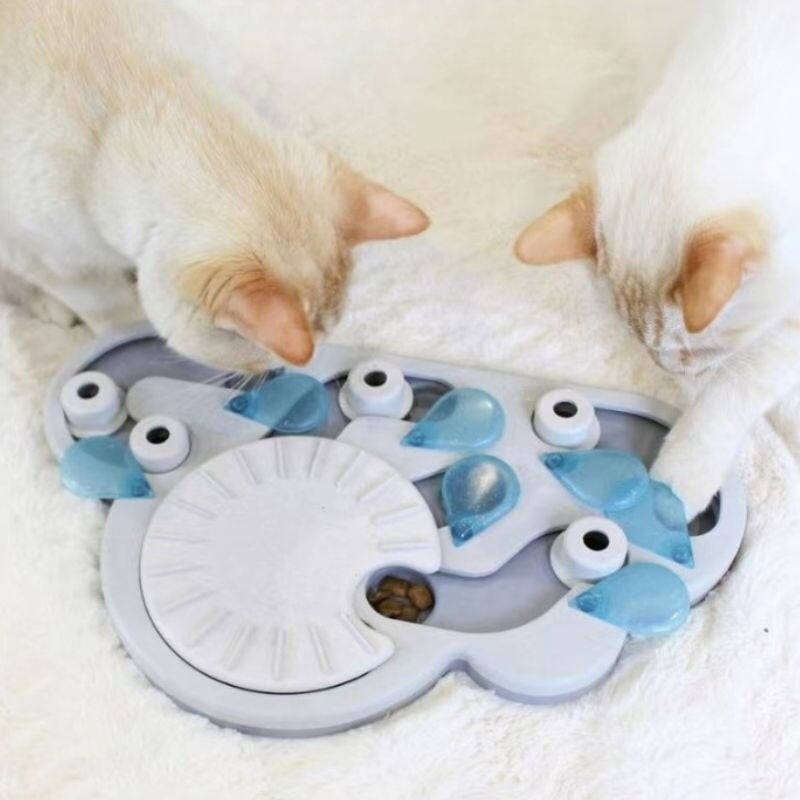 Wet Food Puzzles - Food Puzzles for Cats