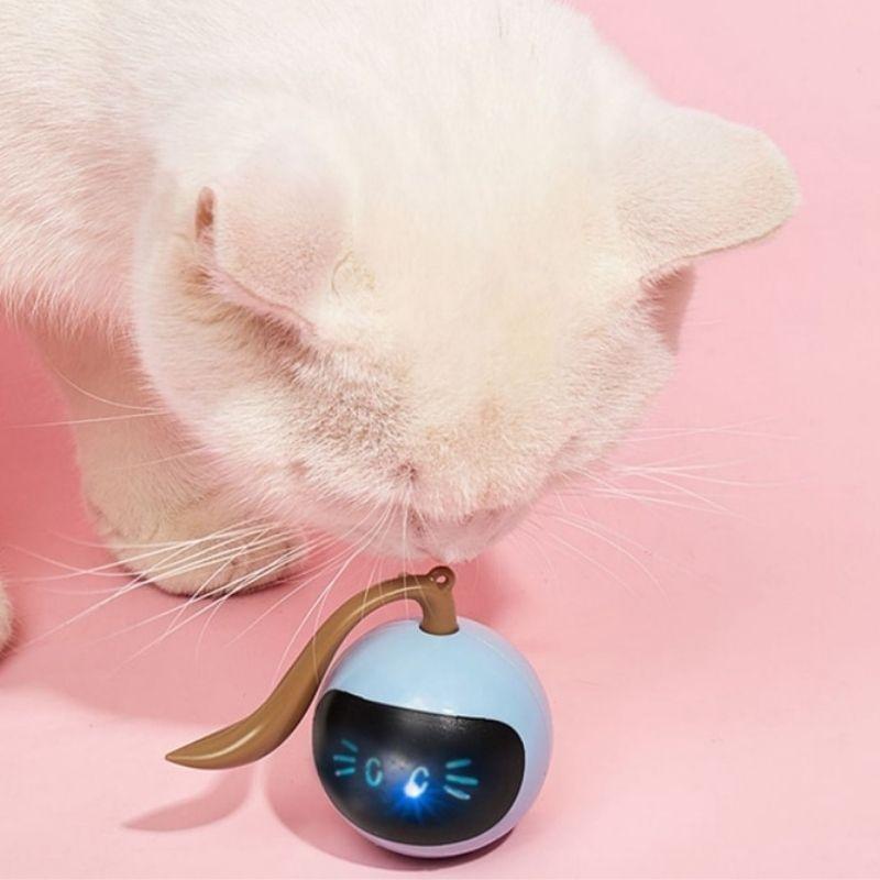 Robo-fitness Ball Cat Toy - Super Kitty Cats - 44337966-with-usb