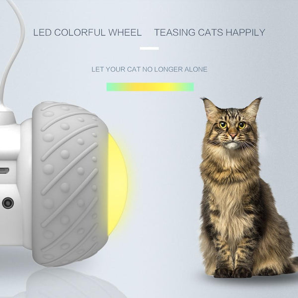 Rain Cloud Interactive Cat Feeder - Super Kitty Cats