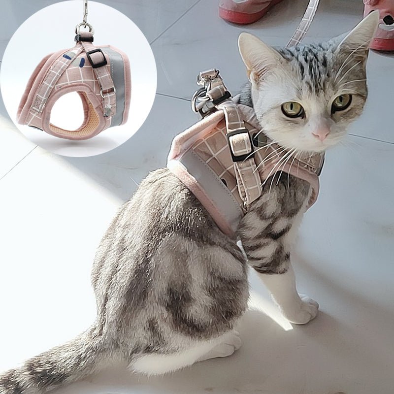 Stylish Plaid Cat Harness and Leash - Super Kitty Cats - 10000007815194520-Black Mesh-XS-suit 0.6-1.2kg-China
