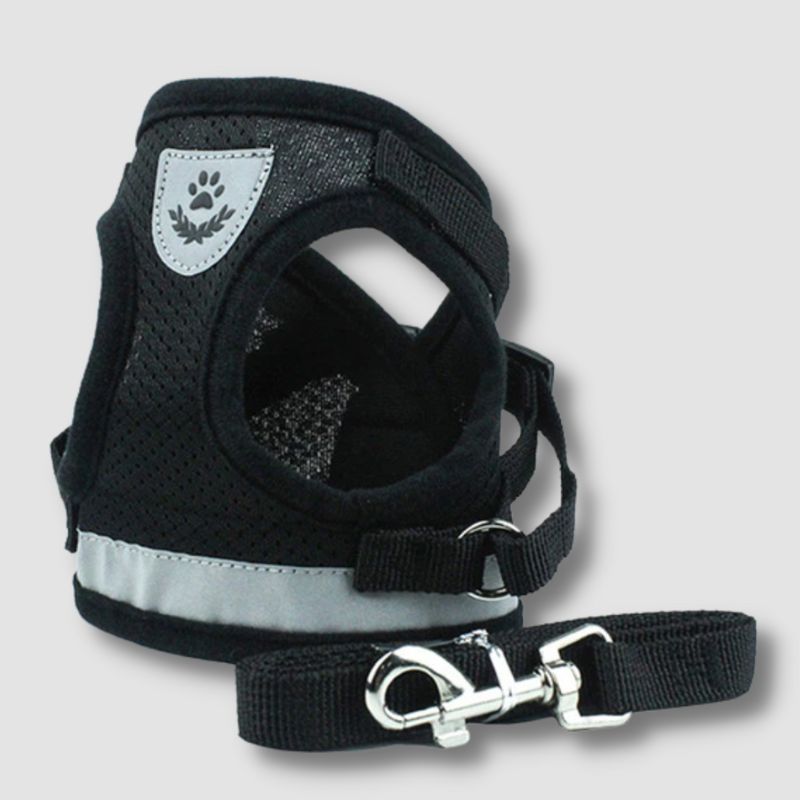 Stylish Plaid Cat Harness and Leash - Super Kitty Cats - 10000007815194520-Black Mesh-XS-suit 0.6-1.2kg-China