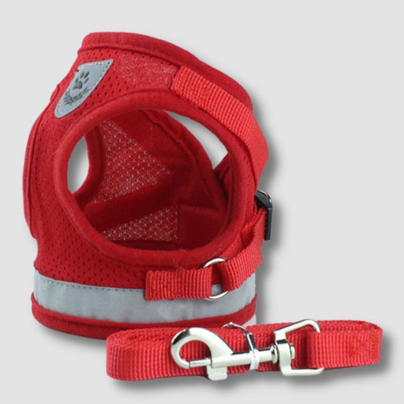 Stylish Plaid Cat Harness and Leash - Super Kitty Cats - 10000007815194524-Red Mesh-XS-suit 0.6-1.2kg-China