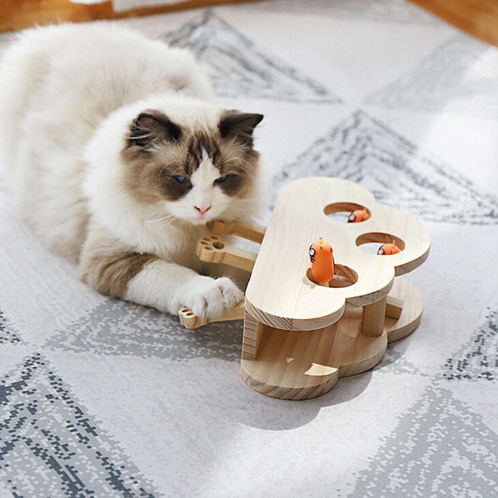 Diy whack a mole best sale for cats