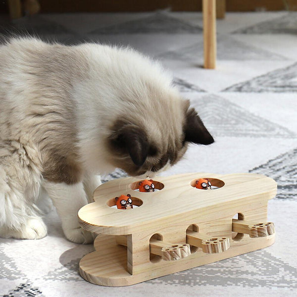 Cat toy like store whack a mole